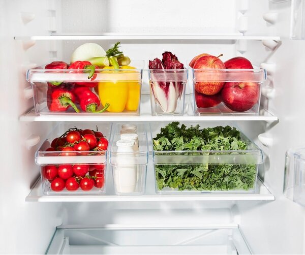 Plastikowy organizer do lodówki Loft – Rotho
