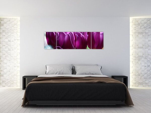 Obraz tulipanów (170x50 cm)