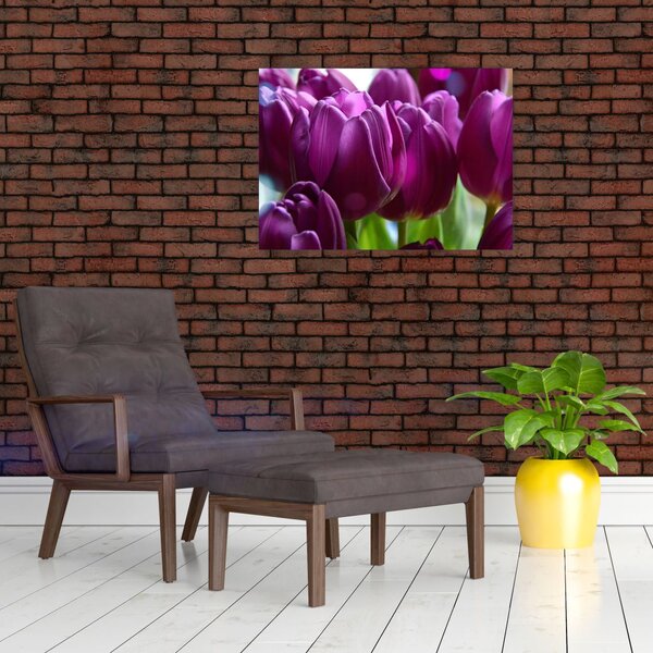 Obraz tulipanów (70x50 cm)