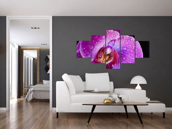 Zbliżenie kwiatu orchidei (125x70 cm)