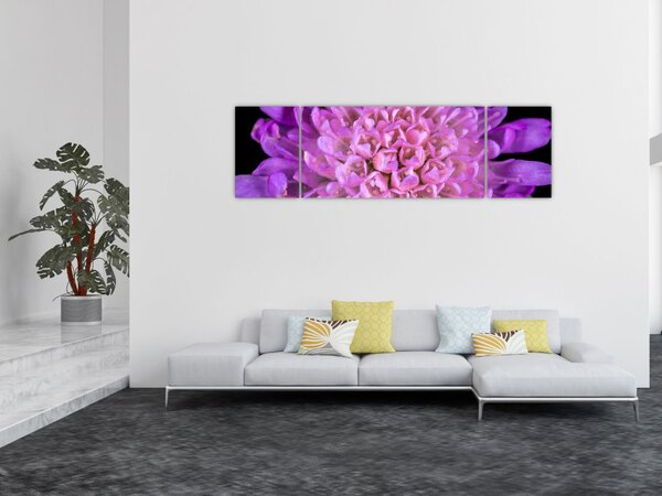 Szczegółowy obraz kwiatu (170x50 cm)