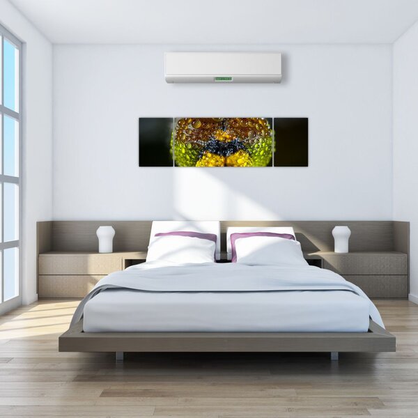 Szczegółowy obraz oczu owadów (170x50 cm)