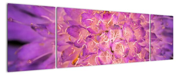 Szczegółowy obraz kwiatu (170x50 cm)