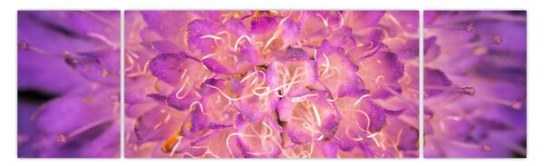 Szczegółowy obraz kwiatu (170x50 cm)
