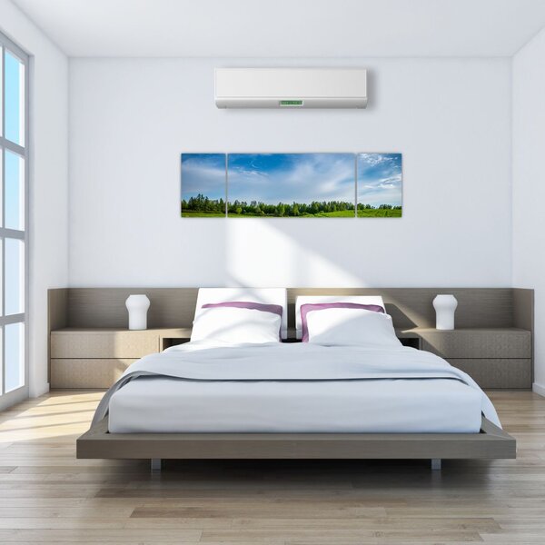 Obraz łąki (170x50 cm)