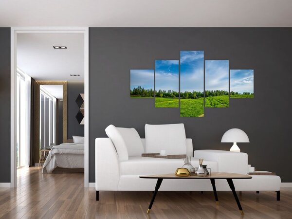 Obraz łąki (125x70 cm)