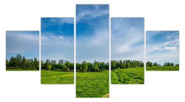 Obraz łąki (125x70 cm)