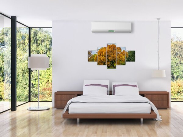 Obraz drzewa (125x70 cm)