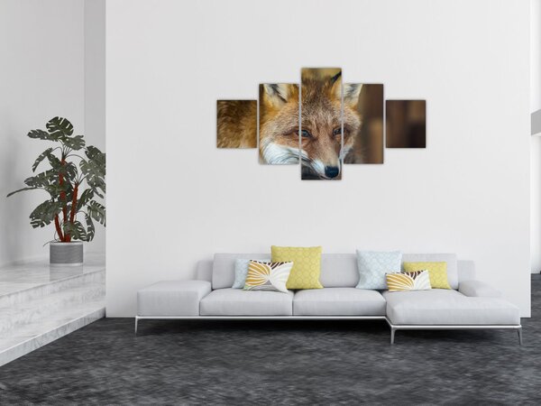 Obraz lisa (125x70 cm)