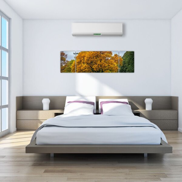 Obraz drzewa (170x50 cm)