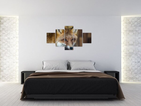 Obraz lisa (125x70 cm)