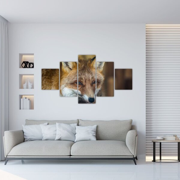 Obraz lisa (125x70 cm)