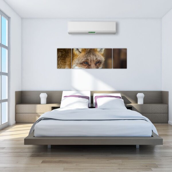 Obraz lisa (170x50 cm)