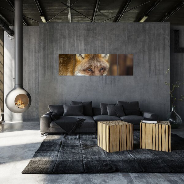 Obraz lisa (170x50 cm)