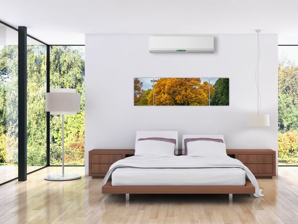 Obraz drzewa (170x50 cm)
