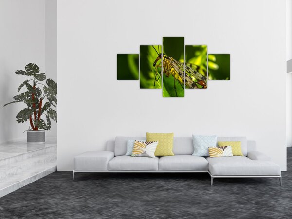Obraz owada (125x70 cm)