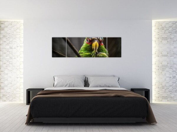 Obraz papugi (170x50 cm)