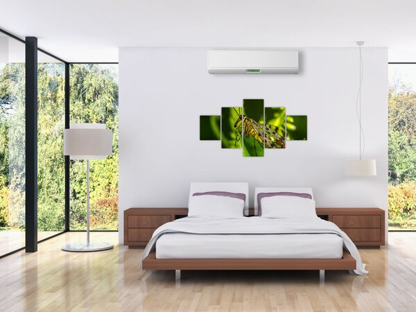 Obraz owada (125x70 cm)