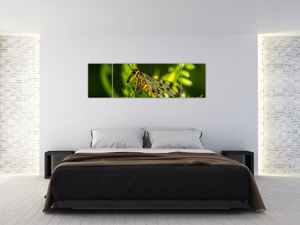 Obraz owada (170x50 cm)