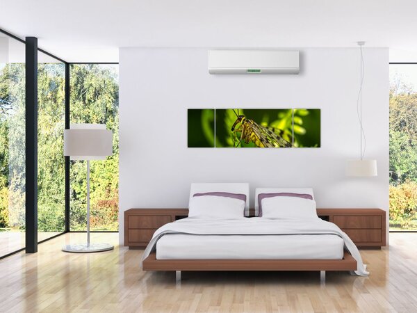 Obraz owada (170x50 cm)