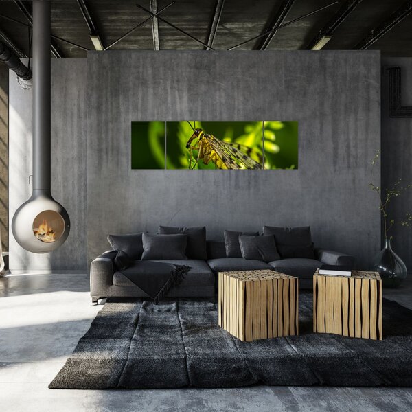 Obraz owada (170x50 cm)