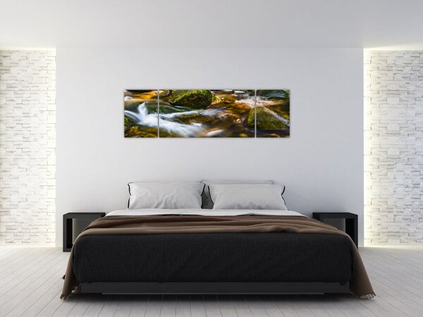 Obraz strumienia (170x50 cm)