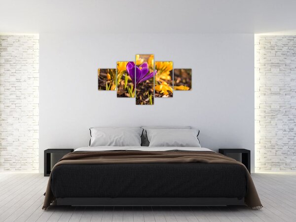 Obraz fioletowego kwiatu (125x70 cm)