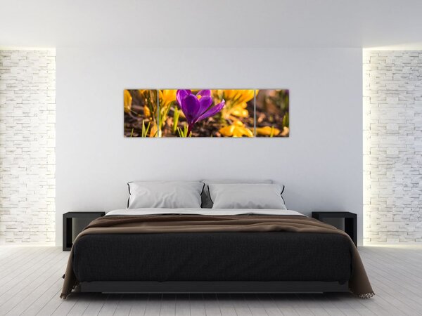 Obraz fioletowego kwiatu (170x50 cm)