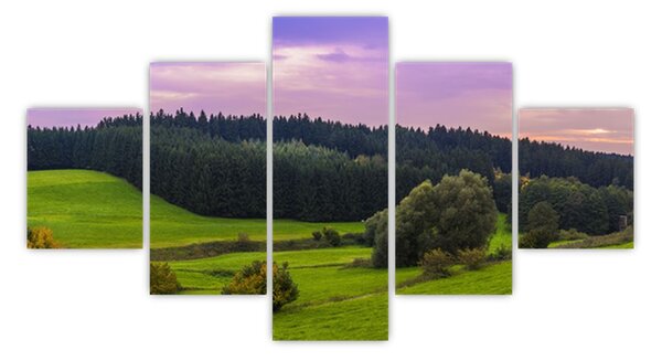 Obraz łąki (125x70 cm)