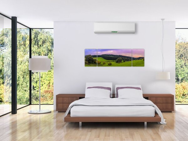 Obraz łąki (170x50 cm)