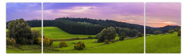 Obraz łąki (170x50 cm)