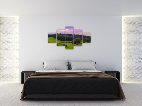 Obraz łąki (125x70 cm)
