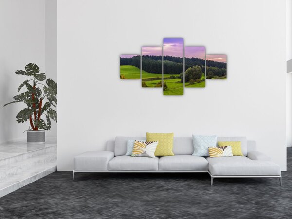 Obraz łąki (125x70 cm)