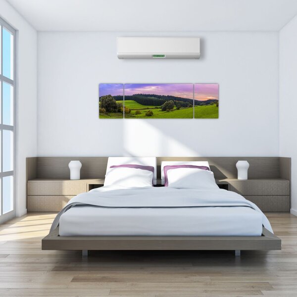 Obraz łąki (170x50 cm)