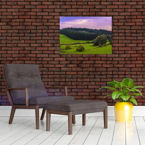 Obraz łąki (70x50 cm)