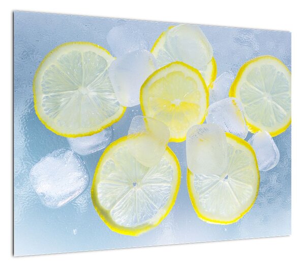 Obraz cytryn w lodzie (70x50 cm)