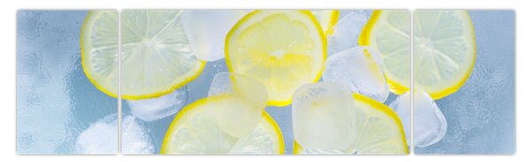 Obraz cytryn w lodzie (170x50 cm)