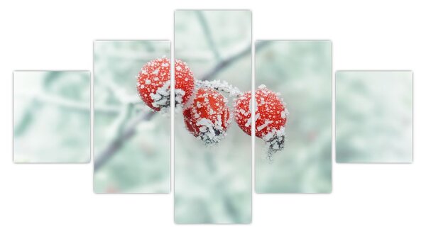 Obraz mrożonych owoców dzikiej róży (125x70 cm)