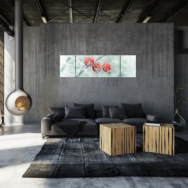 Obraz mrożonych owoców dzikiej róży (170x50 cm)