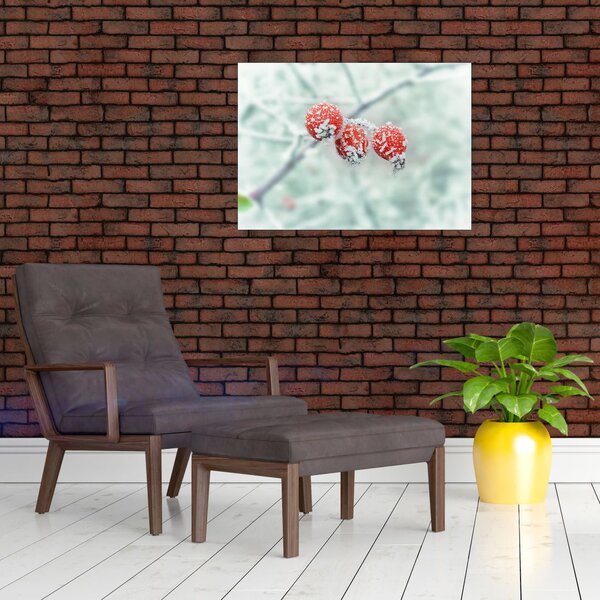 Obraz mrożonych owoców dzikiej róży (70x50 cm)