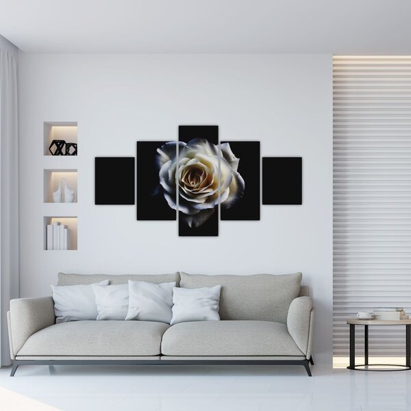 Obraz białej róży (125x70 cm)