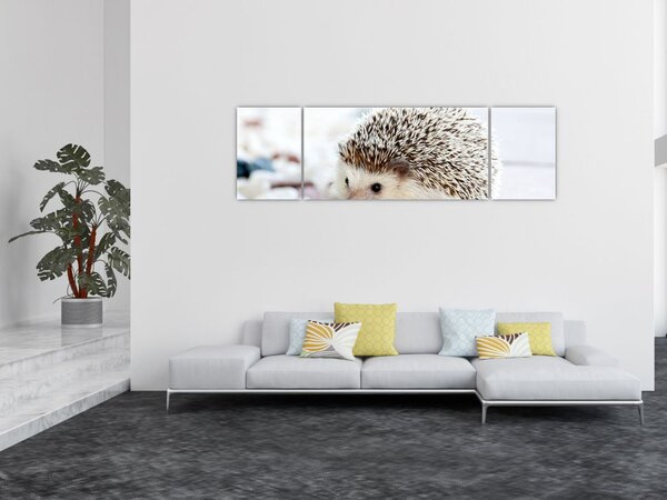 Obraz jeża (170x50 cm)