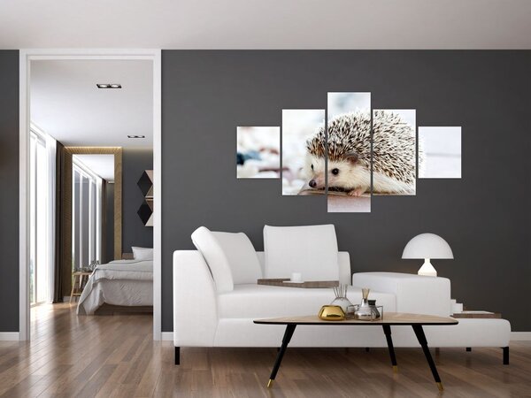 Obraz jeża (125x70 cm)
