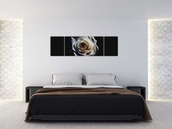 Obraz białej róży (170x50 cm)
