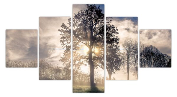 Obraz drzewa we mgle (125x70 cm)