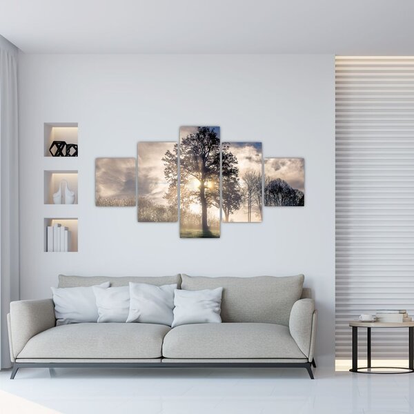Obraz drzewa we mgle (125x70 cm)