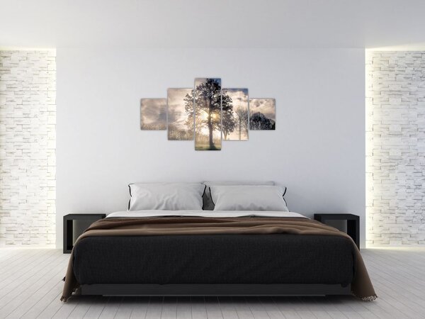 Obraz drzewa we mgle (125x70 cm)