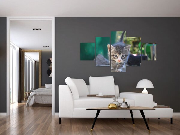 Obraz kotków (125x70 cm)