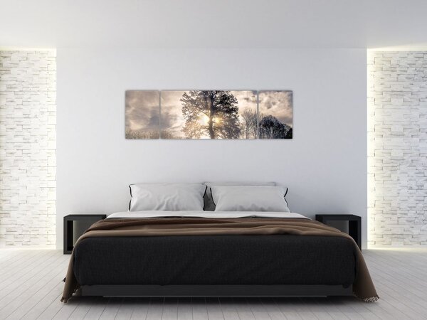 Obraz drzewa we mgle (170x50 cm)