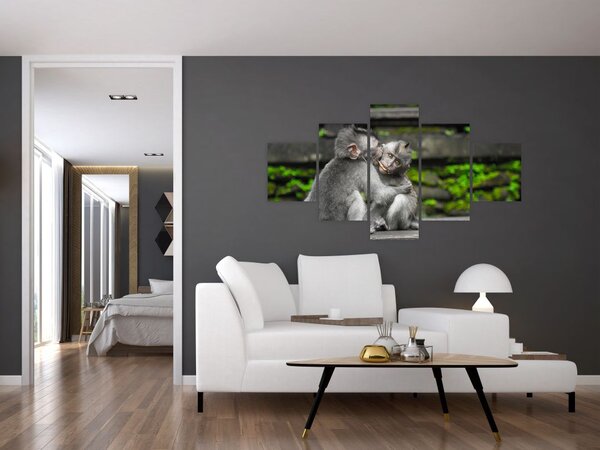 Obraz - małpki (125x70 cm)